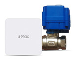 U-Prox Valve DN20