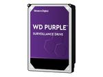 HDD 14TB PURPLE